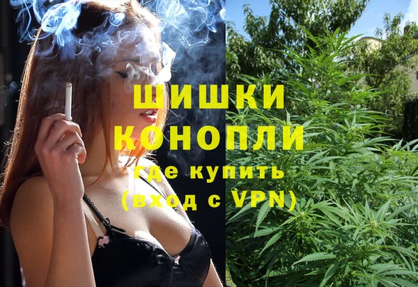 ПСИЛОЦИБИНОВЫЕ ГРИБЫ Армянск