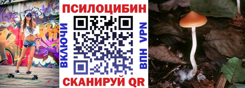 Галлюциногенные грибы ЛСД  Белокуриха 